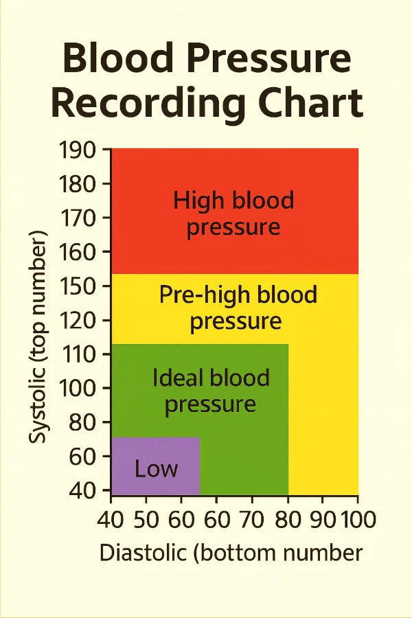 Doctor Recommended Blood Pressure Record Chart – Easy Read Sticker (PACK of 3)