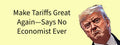 3x8 VINYL ANTI DONALD TRUMP SUPPORT TARIFFS AUTO POLITICAL FUNNY BUMPER STICKER