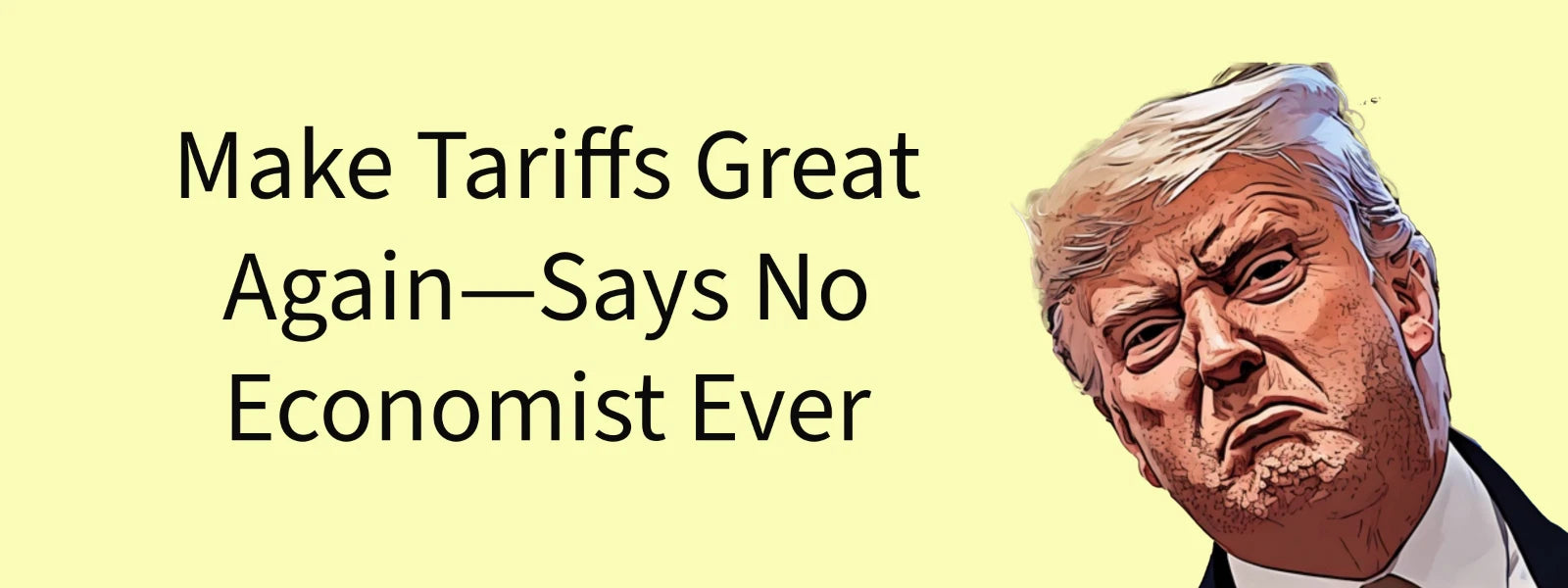3x8 VINYL ANTI DONALD TRUMP SUPPORT TARIFFS AUTO POLITICAL FUNNY BUMPER STICKER