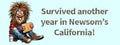 3x8 3 x 8 VINYL GAVIN NEWSOM AUTO AUTOMOBILE FUNNY POLITICAL BUMPER STICKER