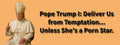 3x8 VINYL ANTI DONALD TRUMP PORN STAR AUTO POLITICAL FUNNY BUMPER STICKER