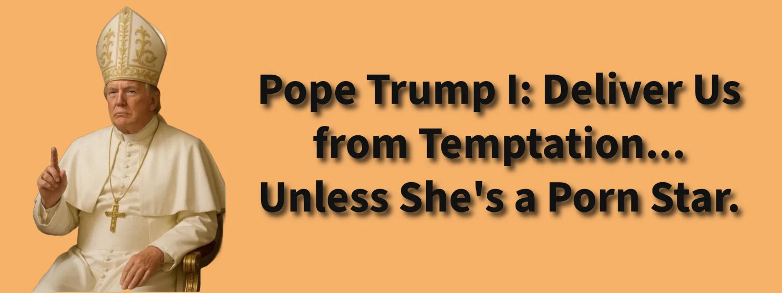 3x8 VINYL ANTI DONALD TRUMP PORN STAR AUTO POLITICAL FUNNY BUMPER STICKER