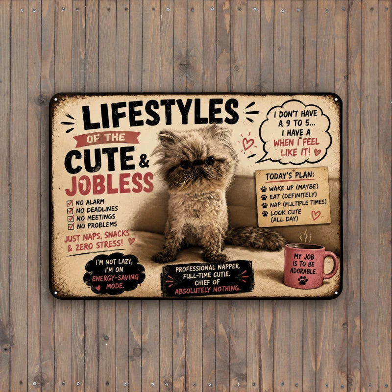 10" x 7" Metal Sign Aluminum - Choose Cute & Jobless Cat Sign | Custom Personalized