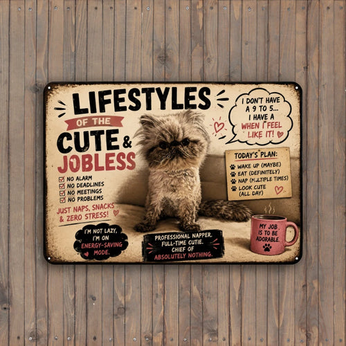 10" x 7" Metal Sign Aluminum - Choose Cute & Jobless Cat Sign | Custom Personalized