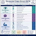 Glasgow Coma Scale GCS Sticker 5" x 5" Nurse Reference Guide ICU ER (Pack of 2)
