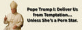 3x8 VINYL ANTI DONALD TRUMP PORN STAR AUTO POLITICAL FUNNY BUMPER STICKER
