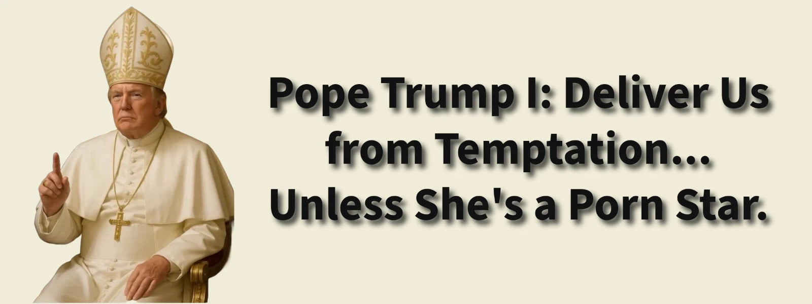 3x8 VINYL ANTI DONALD TRUMP PORN STAR AUTO POLITICAL FUNNY BUMPER STICKER