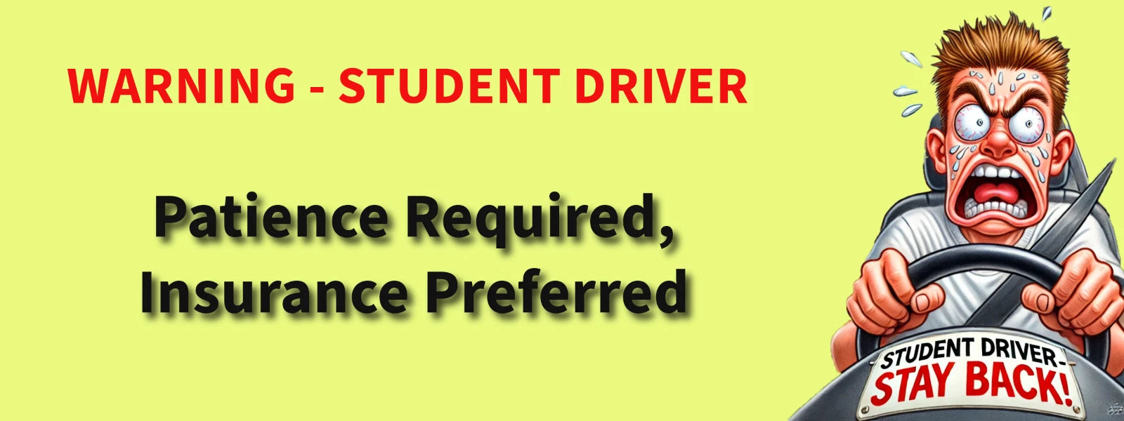 (D.Romeo) 3x8 WARNING STUDENT DRIVER AUTO AUTOMOBILE FUNNY BUMPER STICKER