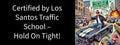 3x8 GTA 5 CERTIFIED TRAFFIC SCHOOL - Vinyl Decal Car Bumper Sticker - CHOOSE