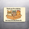 3x 2 Crazy Cat Lady Starter Kit FUNNY Art Fridge Refrigerator Magnet D.Romeo